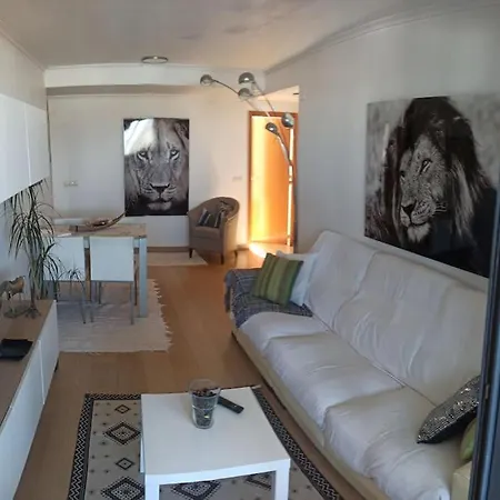 Apartment Atico En Paiporta Con 2 Grandes Terrazas
